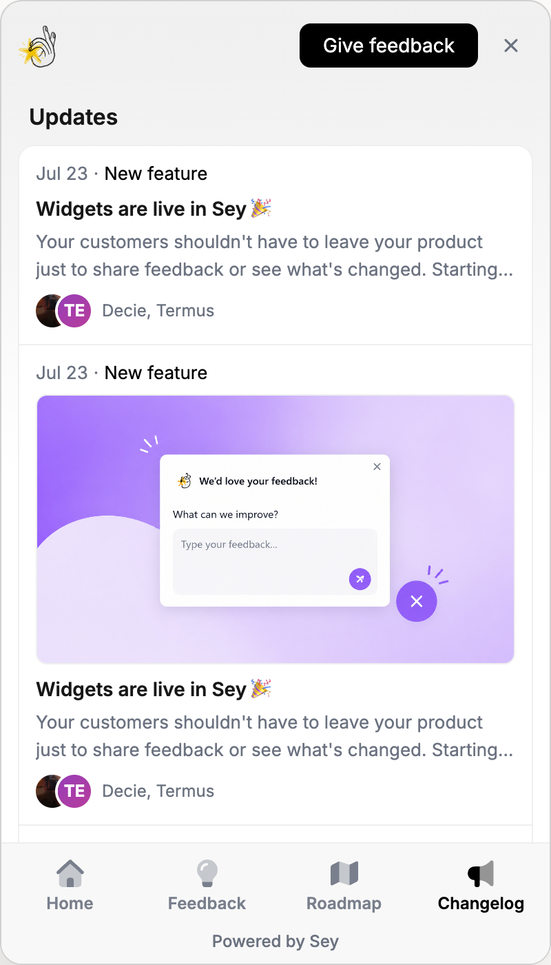 Sey widget changelog showing recent product updates